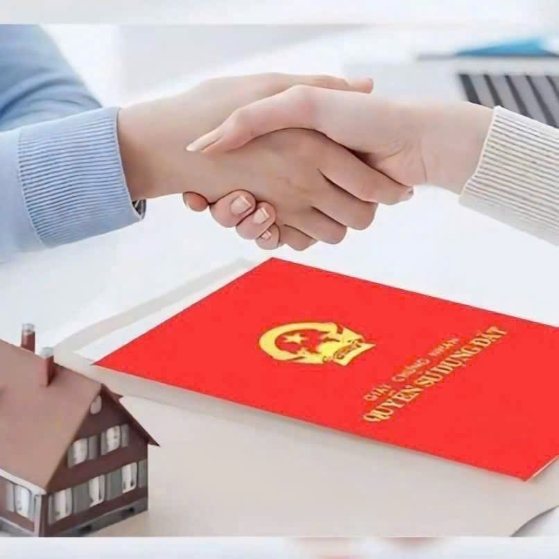 BÁN LÔ GÓC MẶT BIỂN QUẤT LÂM NAM ĐỊNH