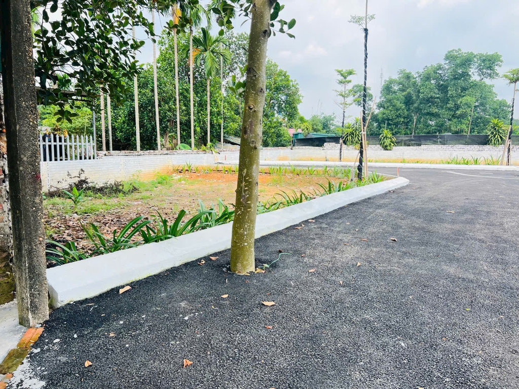 ĐẦU TƯ HÒA LẠC ĐỂ ĐÓN SÓNG CUỐI 2025 –  Nhỉnh 2 tỷ  CÓ NGAY 100 M² FULL THỔ