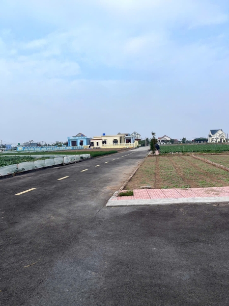 LÔ ĐẤT BIỂN QUẤT LÂM – CƠ HỘI TĂNG TRƯỞNG 2026, GIỮ TIỀN – SINH LỜI – ĐÓN SÓNG BIỂN