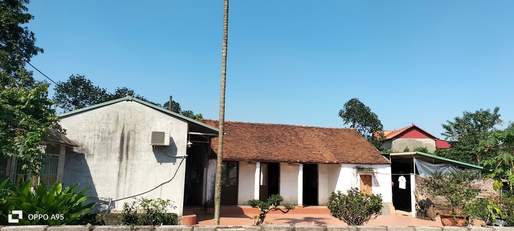 ĐẤT PHÂN LÔ*BiỆT THỰ 704M² - THÔN HÒA BÌNH, HOÀNG VĂN THỤ - SỔ ĐỎ ĐẸP - GẦN ĐẢNG ỦY, CHỢ, TRƯỜNG - GIÁ 7.4 TỶ