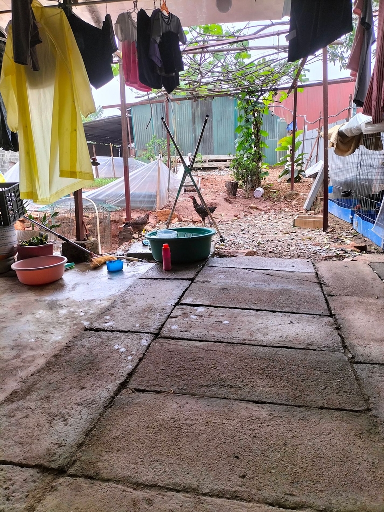 🚨 CƠ HỘI ĐẦU TƯ DOANH NGHIỆP: ĐẤT MẶT TIỀN ĐT 419 - NGÃ 5 CHỢ CỐNG | 118M²   TẶNG NHÀ C4 | XÂY TÒA VĂN PHÒNG, SIÊU THỊ - GIÁ 8.86 TỶ