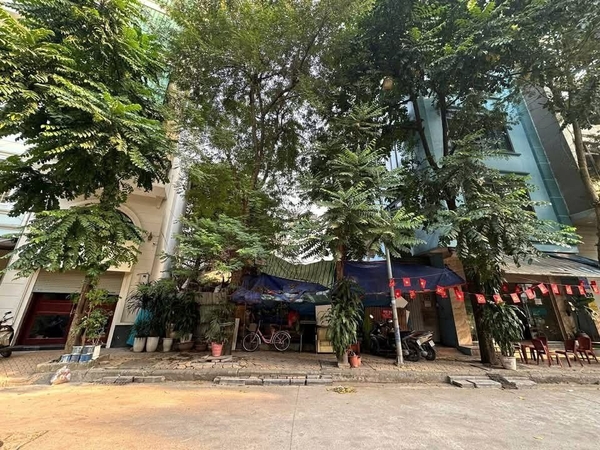 Mảnh Đất Vàng Độc Tôn Trần Quang Diệu, Đống Đa - 357m² VIEW VƯỜN HOA, Xây Dựng Tòa Nhà