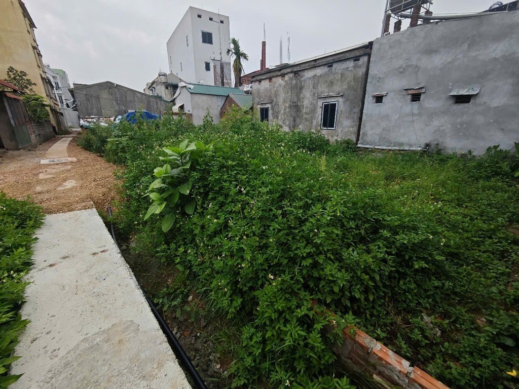 ĐẤT MẶT TIỀN ĐT 419 - CHƯƠNG MỸ | 192M² - MT20M | LINH HOẠT: BÁN CẢ 7 TỶ HOẶC CHIA 3 LÔ RIÊNG (66M²*66M²*60M²)