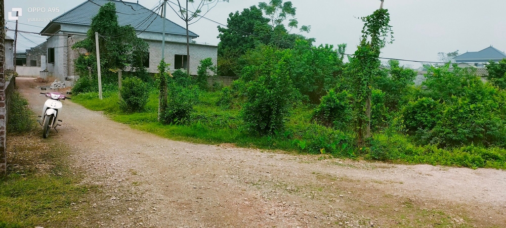 ĐẤT ĐẦU TƯ GIÁ TỐT 1493M² - THÔN HẠNH CÔN, XÃ XUÂN MAI, CHƯƠNG MỸ - SỔ ĐỎ CHÍNH CHỦ - GIÁ CHỈ 5.2 TỶ