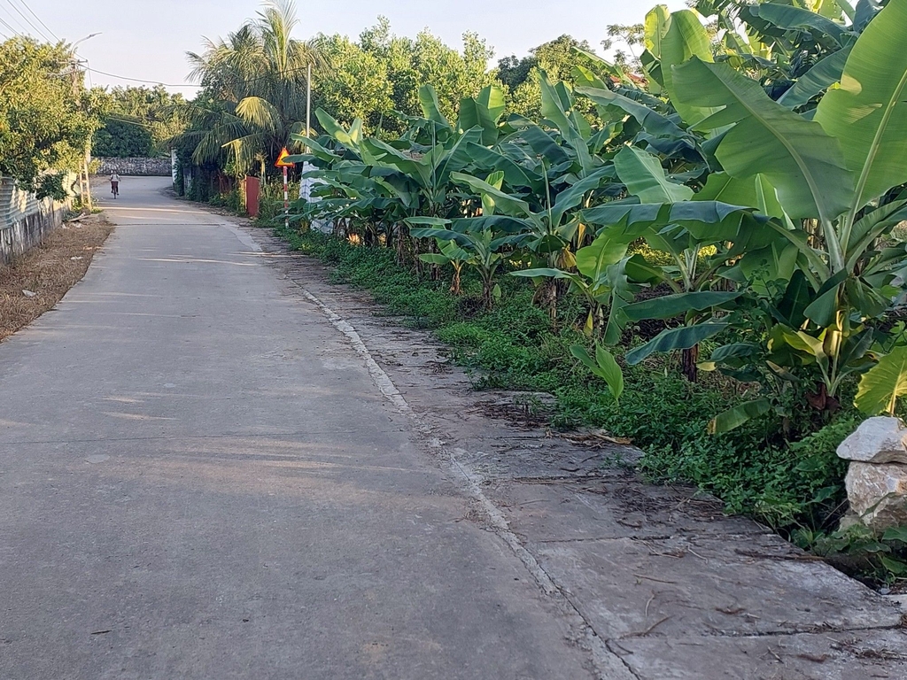 BÁN ĐẤT VIEW HỒ SEN 734.6M² - THÔN 6, THUẦN MỸ, BA VÌ - MẶT TIỀN 16.69M - Ô TÔ TRÁNH - 4.1 TỶ