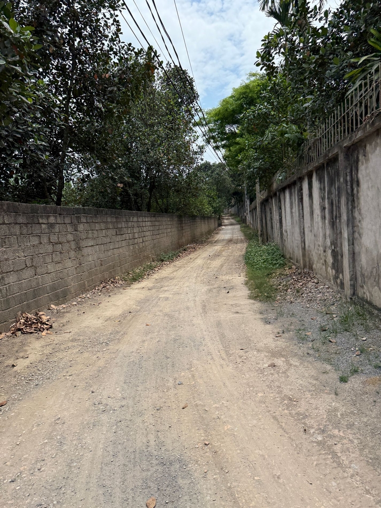 🏡 KHU NGHỈ DƯỠNG RIÊNG 1100M² - THỦY XUÂN TIÊN, CHƯƠNG MỸ | NHÀ VƯỜN   VƯỜN CÂY ĂN TRÁI | KHÔNG KHÍ TRONG LÀNH - GIÁ 8.3 TỶ