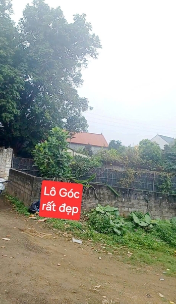 LÔ GÓC 3 THOÁNG 96M² - VĂN SƠN, HOÀNG VĂN THỤ | GẦN SÂN GOLF