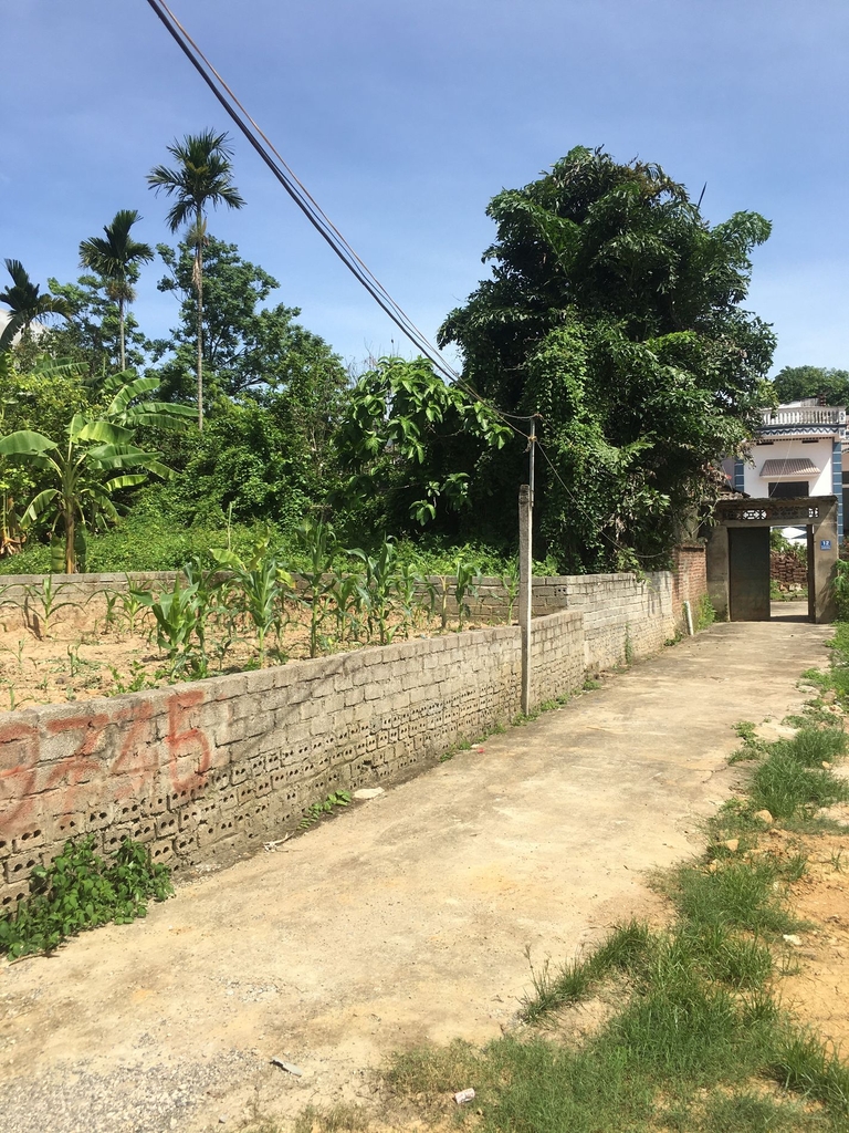 🚨 CƠ HỘI HIẾM