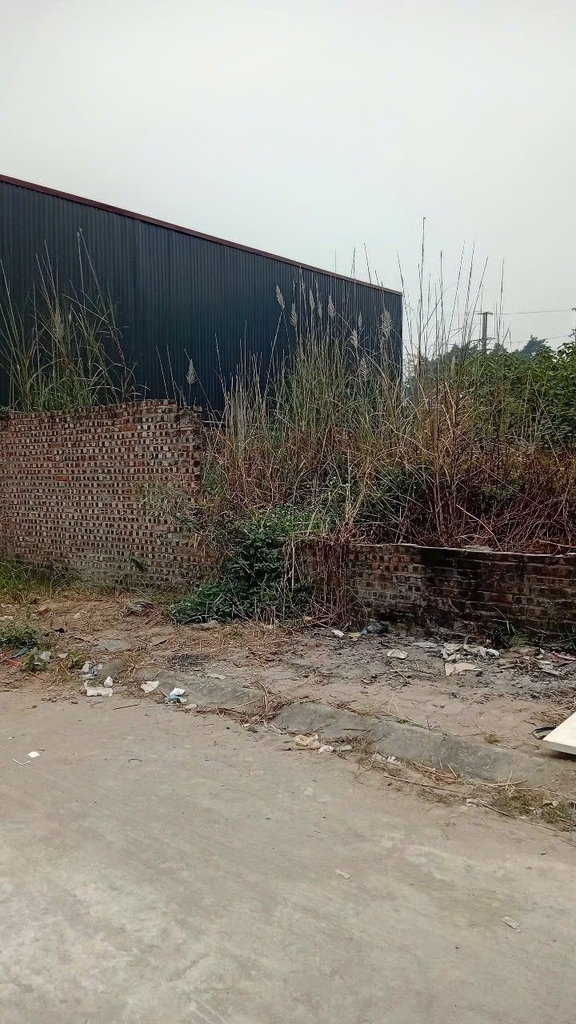 BÁN ĐẤT TRUNG TÂM TRẠM TRÔI – HOÀI ĐỨC