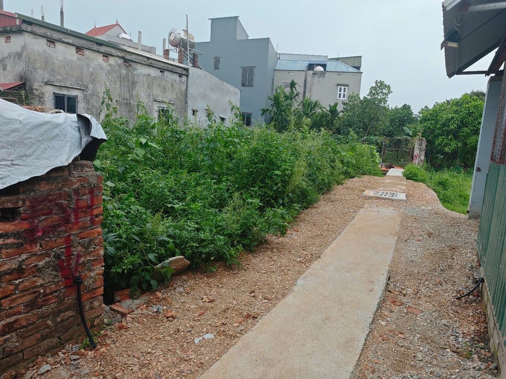 ĐẤT MẶT TIỀN ĐT 419 - CHƯƠNG MỸ | 192M² - MT20M | LINH HOẠT: BÁN CẢ 7 TỶ HOẶC CHIA 3 LÔ RIÊNG (66M²*66M²*60M²)