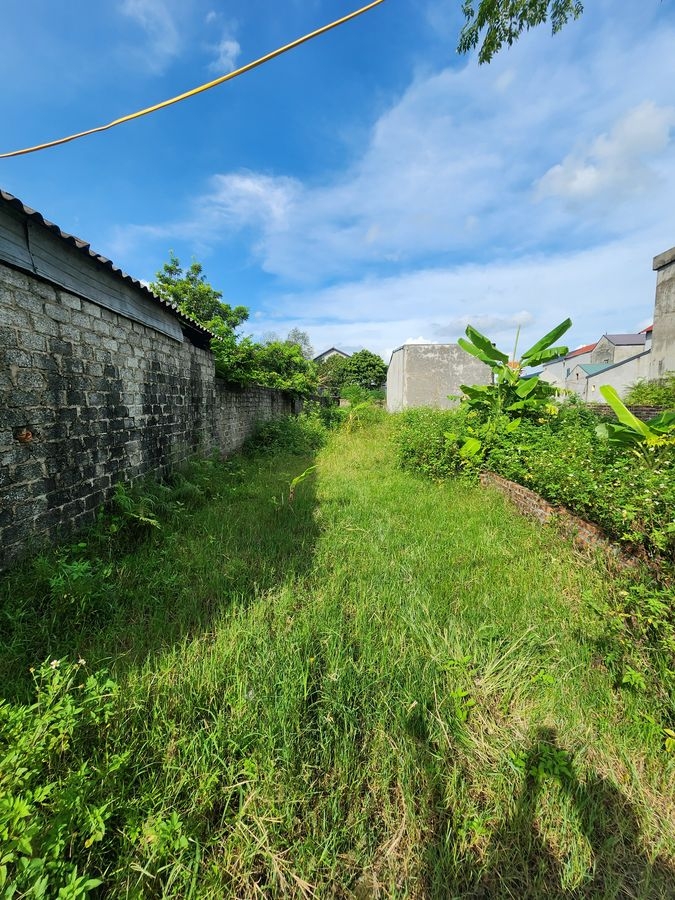 BÁN ĐẤT THỔ CƯ 85M² - SỔ HỒNG 2025 - NGÕ Ô TÔ - PHÚ HẠ, KIM ANH, SÓC SƠN - 1.8 TỶ