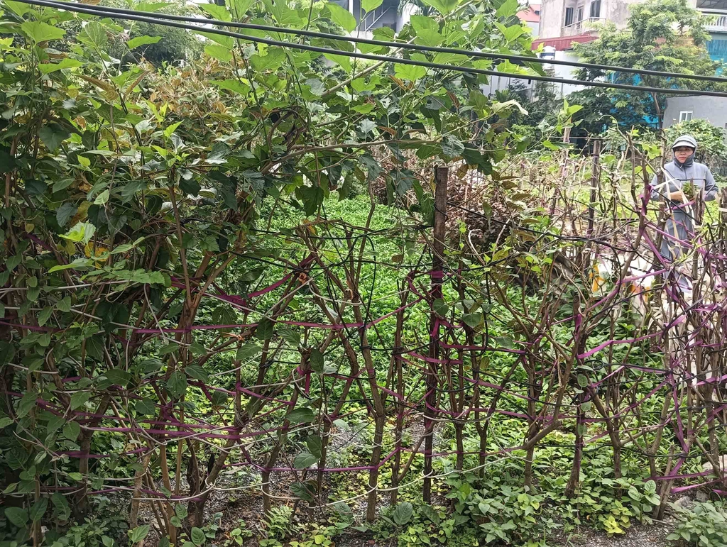 BÁN ĐẤT LÔ GÓC 3 MẶT THOÁNG - HƯƠNG SƠN, MỸ ĐỨC - 50.4M2 - GIÁ 1.5 TỶ - CÁCH CHÙA HƯƠNG 1KM