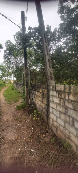 BÁN ĐẤT TRỒNG CÂY QUY MÔ LỚN - THÔN PHÙ YÊN, ỨNG HÒA - 1609M2 - MẶT TIỀN 27M - GIÁ 6.9 TỶ