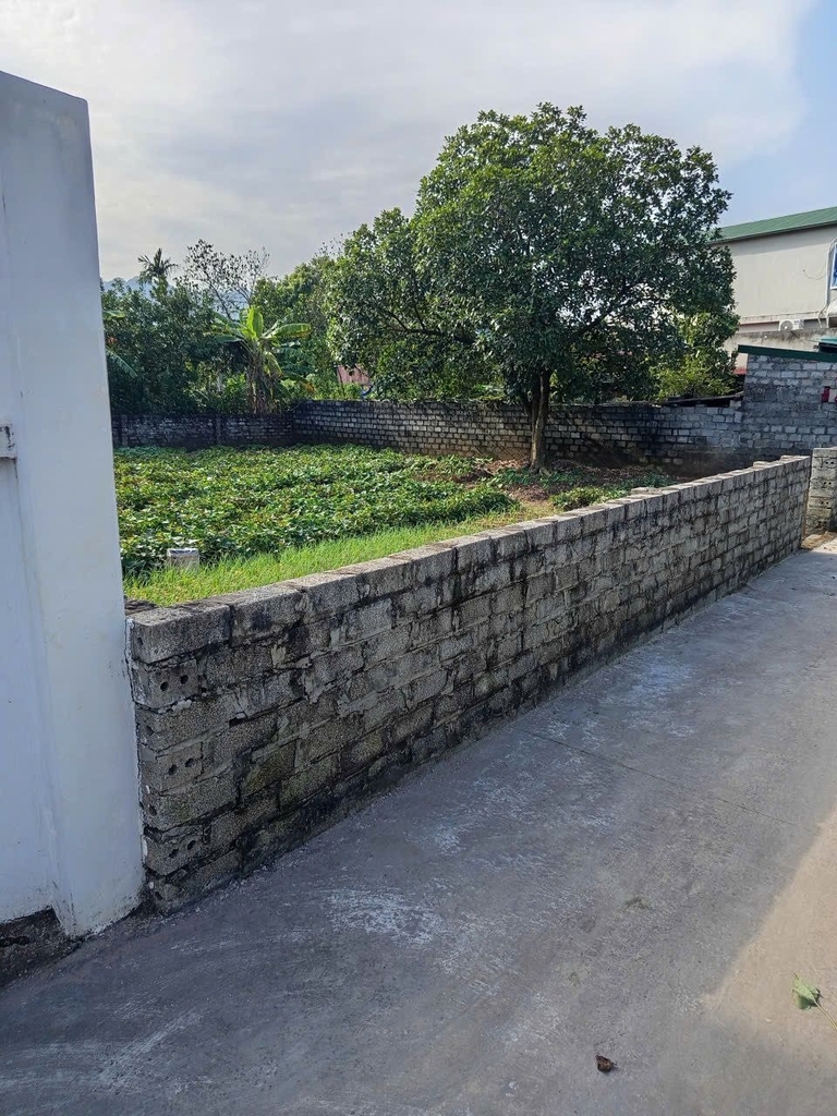 BÁN ĐẤT THỔ CƯ NỞ HẬU - XÃ TUY LAI, MỸ ĐỨC - 356M2 - GIÁ 7.4 TỶ - GẦN HỒ SINH THÁI