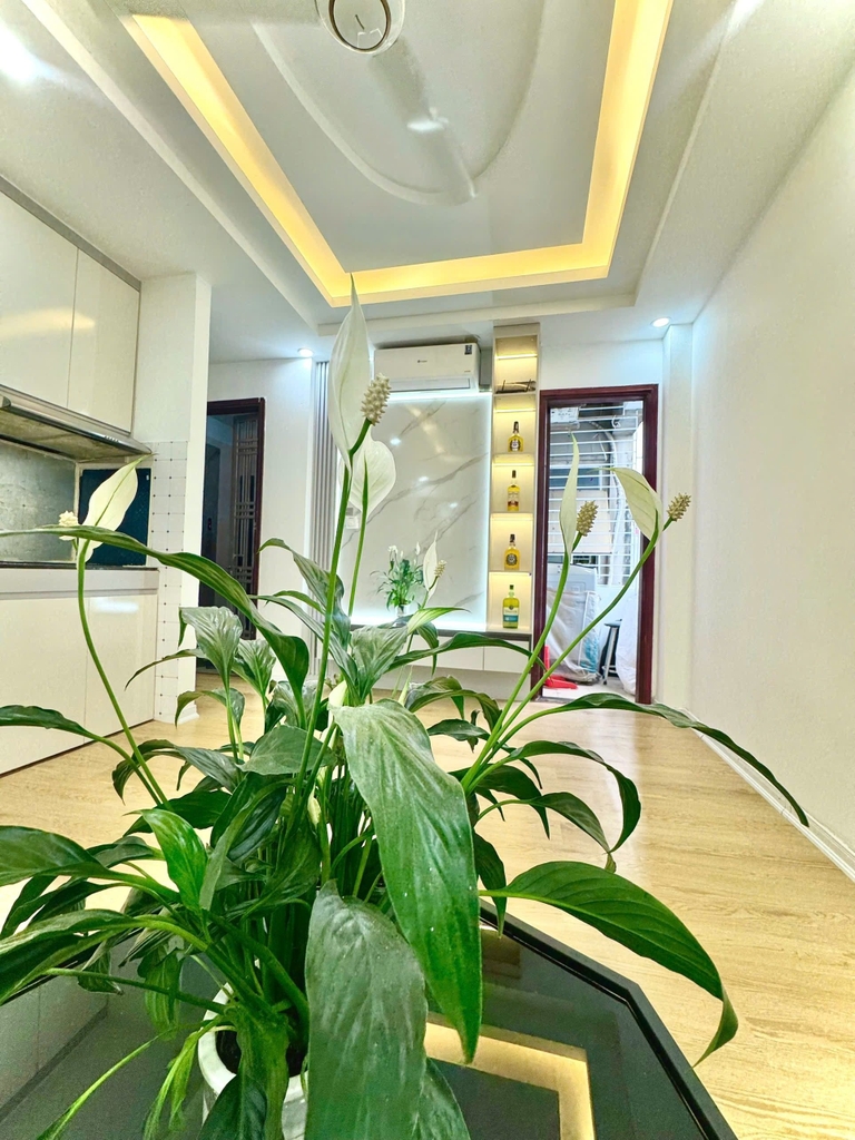 BÁN CĂN HỘ CCMN QUAN HOA - TẦNG 7 THANG MÁY - Ô TÔ LÙI CỬA - 1.85 TỶ