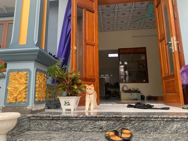 BÁN NHÀ LÔ GÓC ĐẸP - GẦN UBND XÃ HÒA XÁ, ỨNG HÒA - 120M2 - GIÁ 6.8 TỶ