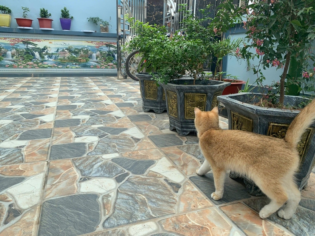 BÁN NHÀ LÔ GÓC ĐẸP - GẦN UBND XÃ HÒA XÁ, ỨNG HÒA - 120M2 - GIÁ 6.8 TỶ