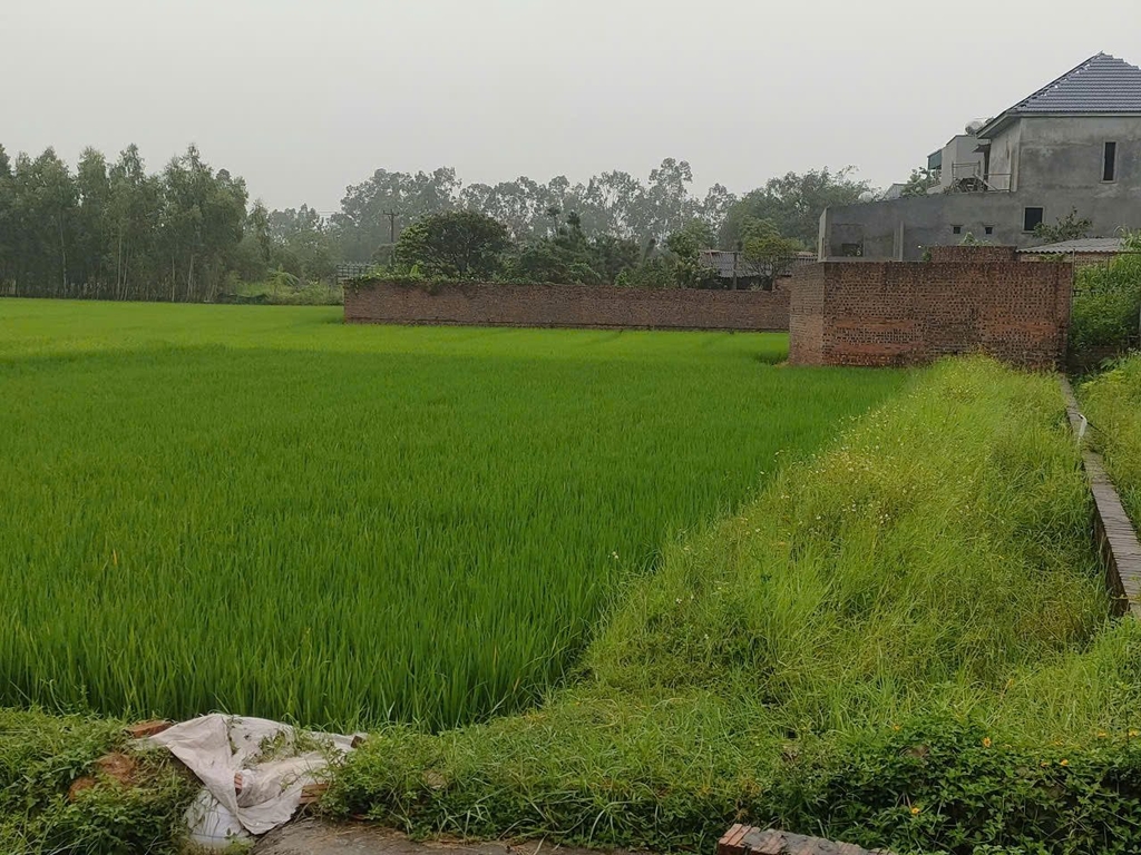 BÁN NHÀ VƯỜN Ở