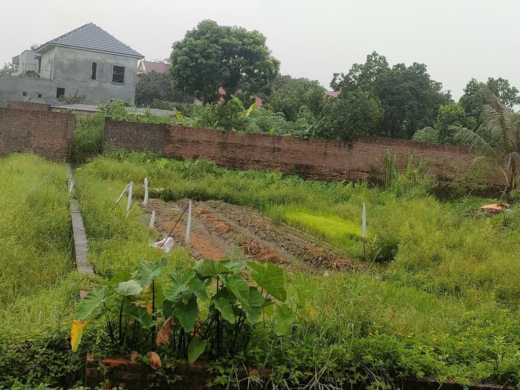 BÁN NHÀ VƯỜN Ở