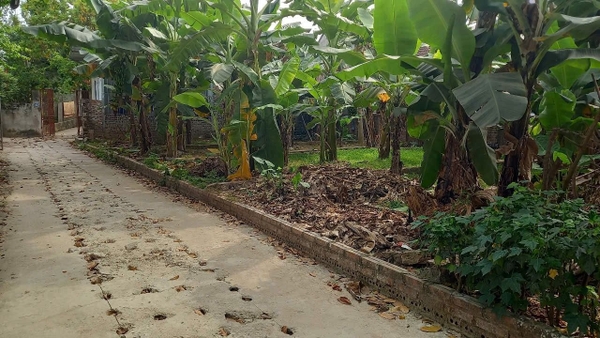 ĐẤT ĐẸP XÃ HÁT MÔN, PHÚC THỌ - 45M² - MẶT TIỀN 4.3M - Ô TÔ ĐỖ CỬA, TRÁNH DỄ DÀNG - 2 TỶ