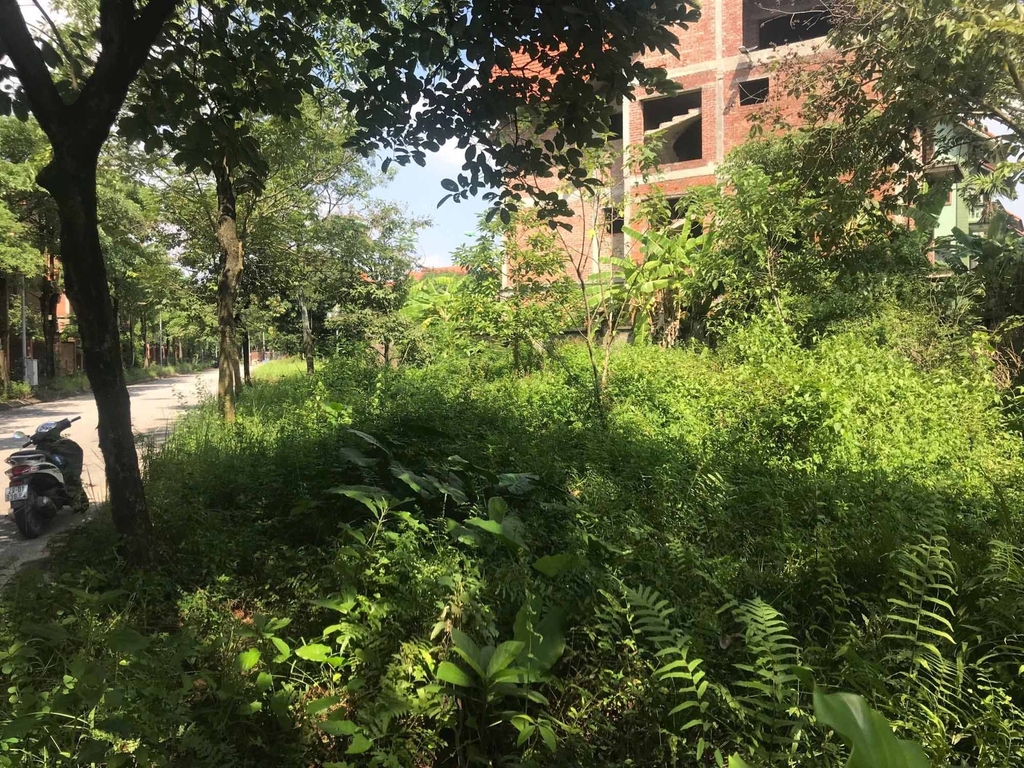 LÔ GÓC BIỆT THỰ VIP - KHU ĐÔ THỊ QUANG MINH (VINACONEX 2) - MẶT TIỀN 22M - 291M² - SỔ RIÊNG - 15.5 TỶ