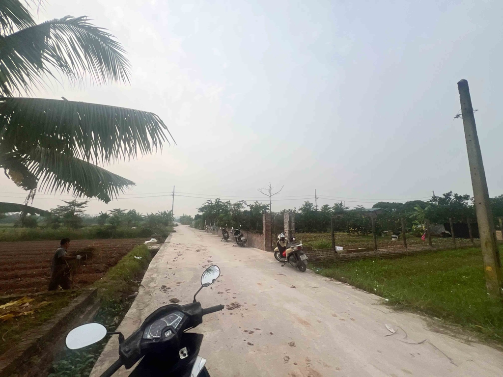 【ĐẤT 785M² MẶT TIỀN 12M - GÒ VUA, TÂN PHÚ】- 5 TỶ