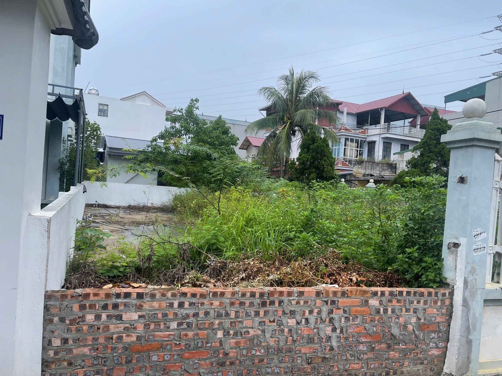 【BÁN ĐẤT SIÊU RỘNG 1210M2 XÃ SÁP MAI, ĐÔNG ANH - MẶT TIỀN 22.6M - 15.5 TỶ】