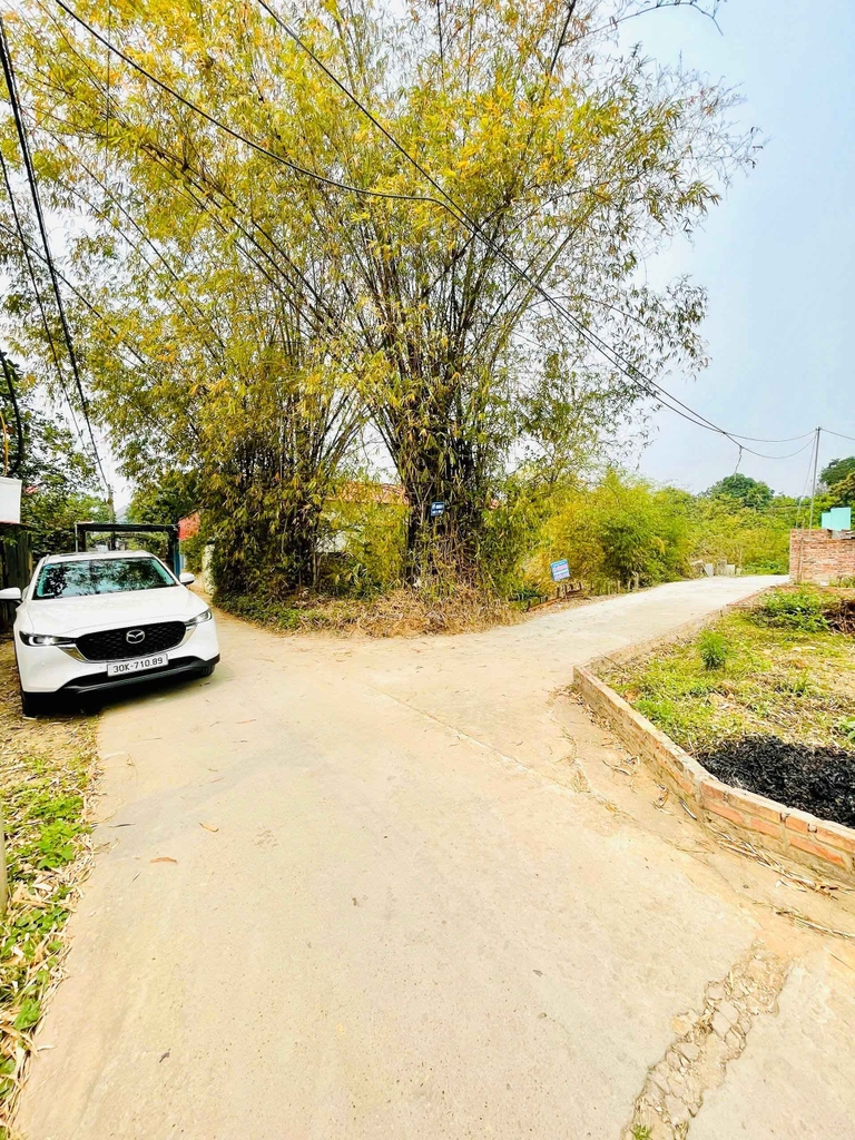 BÁN ĐẤT 45M2 NGÕ THÔNG XUÂN ĐỒNG, TÂN PHÚ - SÓC SƠN - GIÁ CHỈ 1.1 TỶ