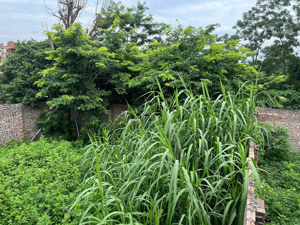 BÁN ĐẤT MẶT ĐƯỜNG PHÚ THỊNH, SÓC SƠN - 28M MẶT TIỀN - 1157M2 (800M2 THỔ CƯ) - 34.5 TỶ