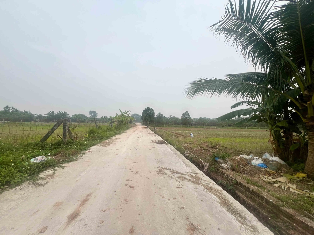 【ĐẤT 785M² MẶT TIỀN 12M - GÒ VUA, TÂN PHÚ】- 5 TỶ