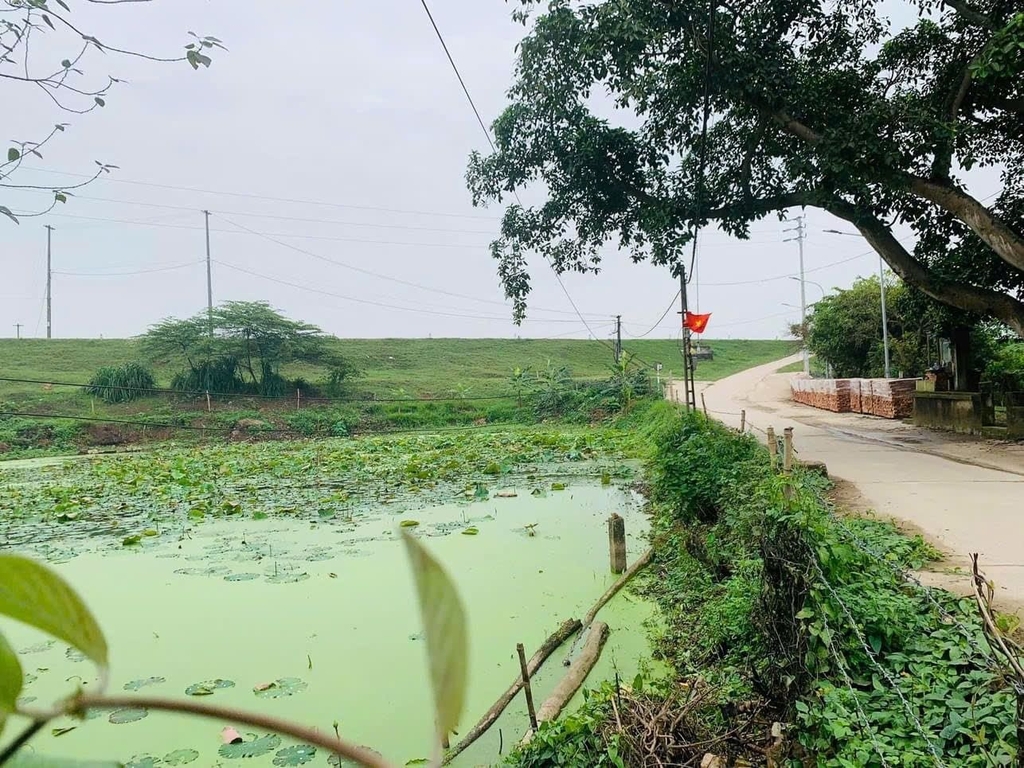 ĐẤT MẶT NGÕ Ô TÔ - THÔN PHÚ THỊNH, XÃ NGỌC TẢO, PHÚC THỌ - 91M² - SỔ RIÊNG - GIÁ ĐẦU TƯ 2.5 TỶ