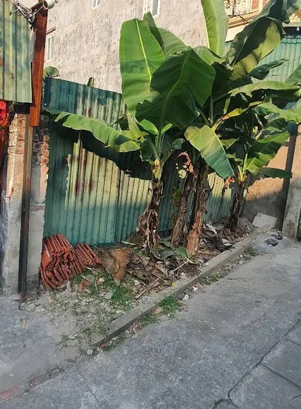 【ĐẤT NỀN MẶT NGÕ - KHUYẾN LƯƠNG, HOÀNG MAI】- 59m² - Giá 8.6 Tỷ