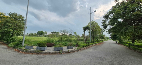 【DỰ ÁN THE DIAMOND PARK】BÁN ĐẤT BIỆT THỰ 333M2 - MẶT TIỀN 9M - LÔ E5 - 9.5 TỶ