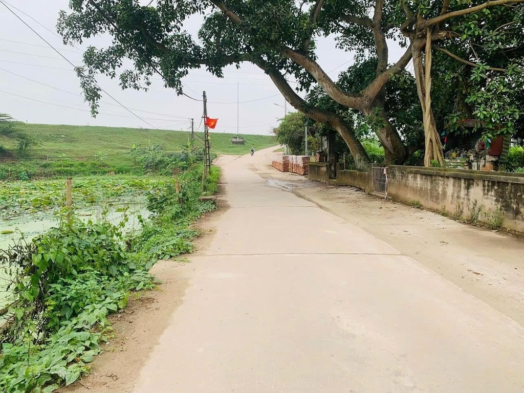 ĐẤT MẶT NGÕ Ô TÔ - THÔN PHÚ THỊNH, XÃ NGỌC TẢO, PHÚC THỌ - 91M² - SỔ RIÊNG - GIÁ ĐẦU TƯ 2.5 TỶ