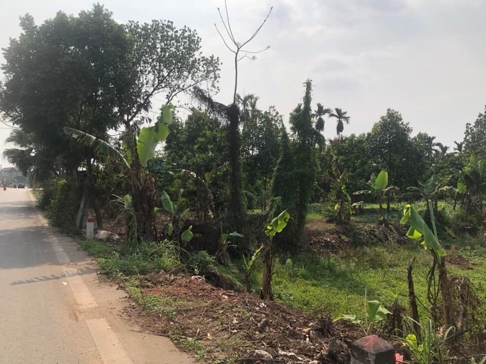 BÁN TRANG TRẠI TỔNG HỢP 5.500M² - XÃ VÂN NAM, PHÚC THỌ - SÁT ĐƯỜNG 421 - DOANH THU ỔN ĐỊNH - 5.2 TỶ