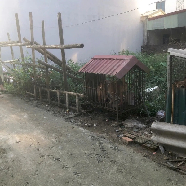 【ĐẤT NỀN THÔN 4, XÃ ĐÔNG MỸ - THANH TRÌ】- 46m² - Giá 3.2 Tỷ