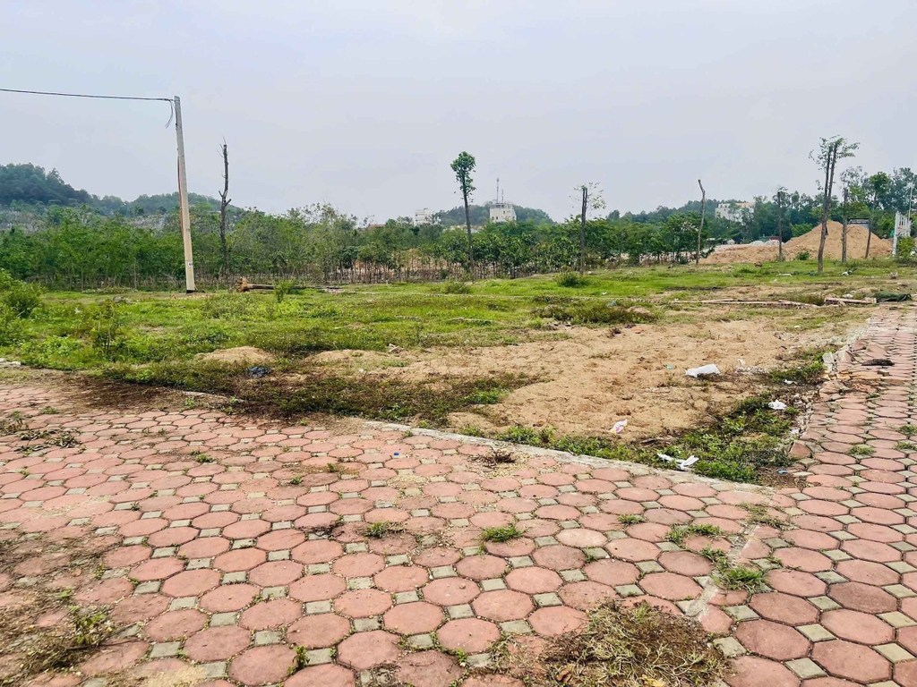 【BÁN ĐẤT PHÂN LÔ Ô TÔ】LÔ GÓC 146M2 KHU ĐẤU GIÁ X1 TAM ĐỒNG - MẶT TIỀN 7.3M - SỔ NỞ HẬU - 8.35 TỶ