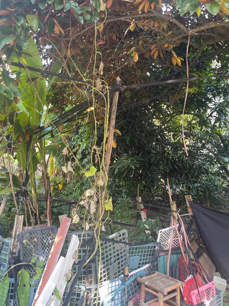 【SIÊU PHẨM ĐẤT VÀNG PHÂN LÔ】Hà Trì 4, Hà Đông - 670.3m² - 2 Mặt Tiền - Giá 58.5 Tỷ