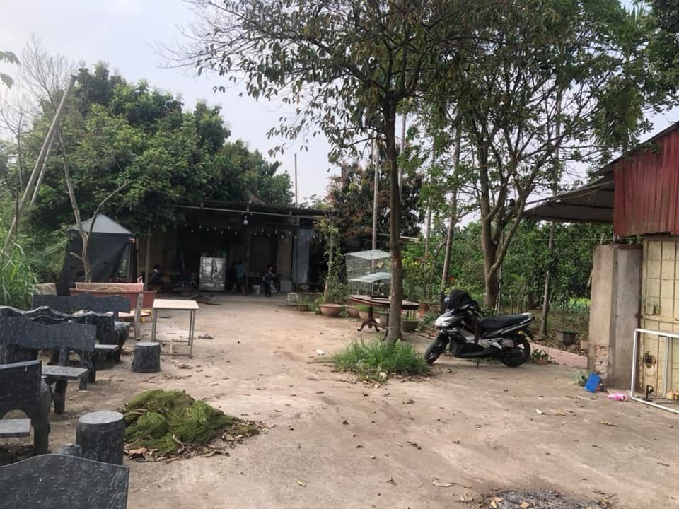 BÁN TRANG TRẠI TỔNG HỢP 5.500M² - XÃ VÂN NAM, PHÚC THỌ - SÁT ĐƯỜNG 421 - DOANH THU ỔN ĐỊNH - 5.2 TỶ