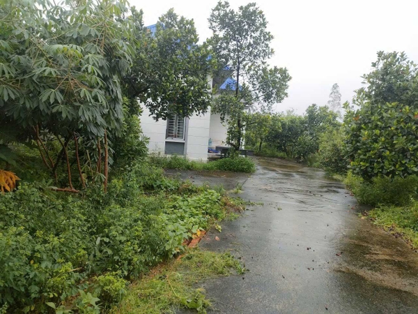 BÁN NHÀ VƯỜN Ở